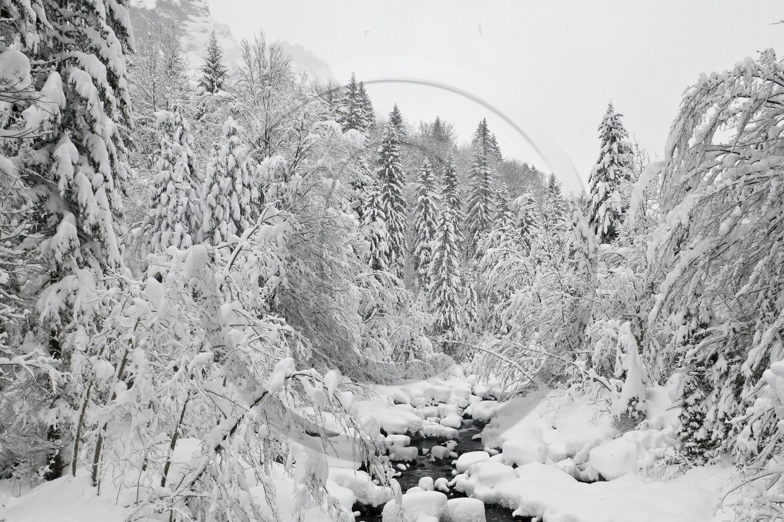Réserve naturelle de Sixt-Passy, Le Giffre, Sixt-Fer-à-Cheval