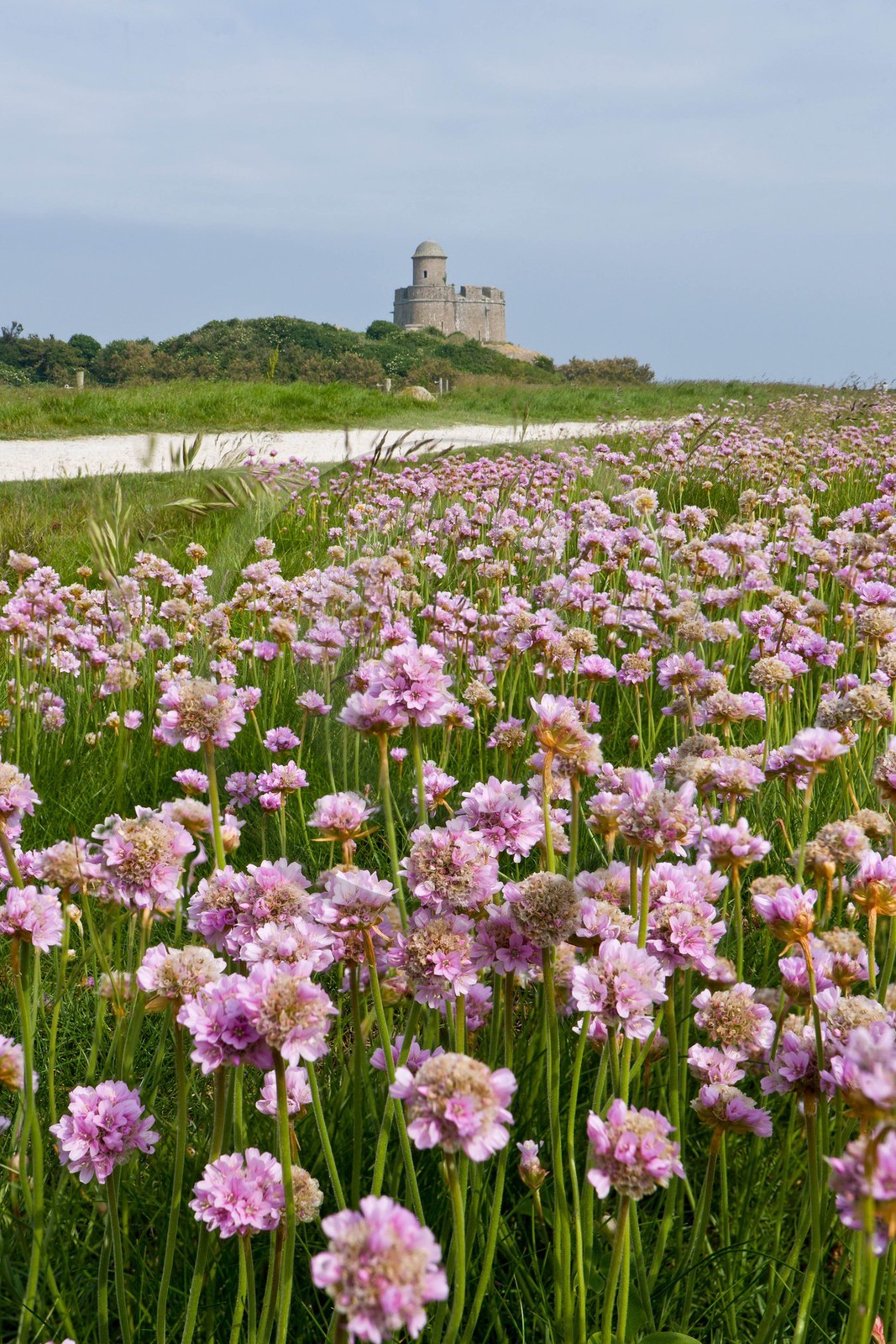Saint-Vaast-la-Hougue