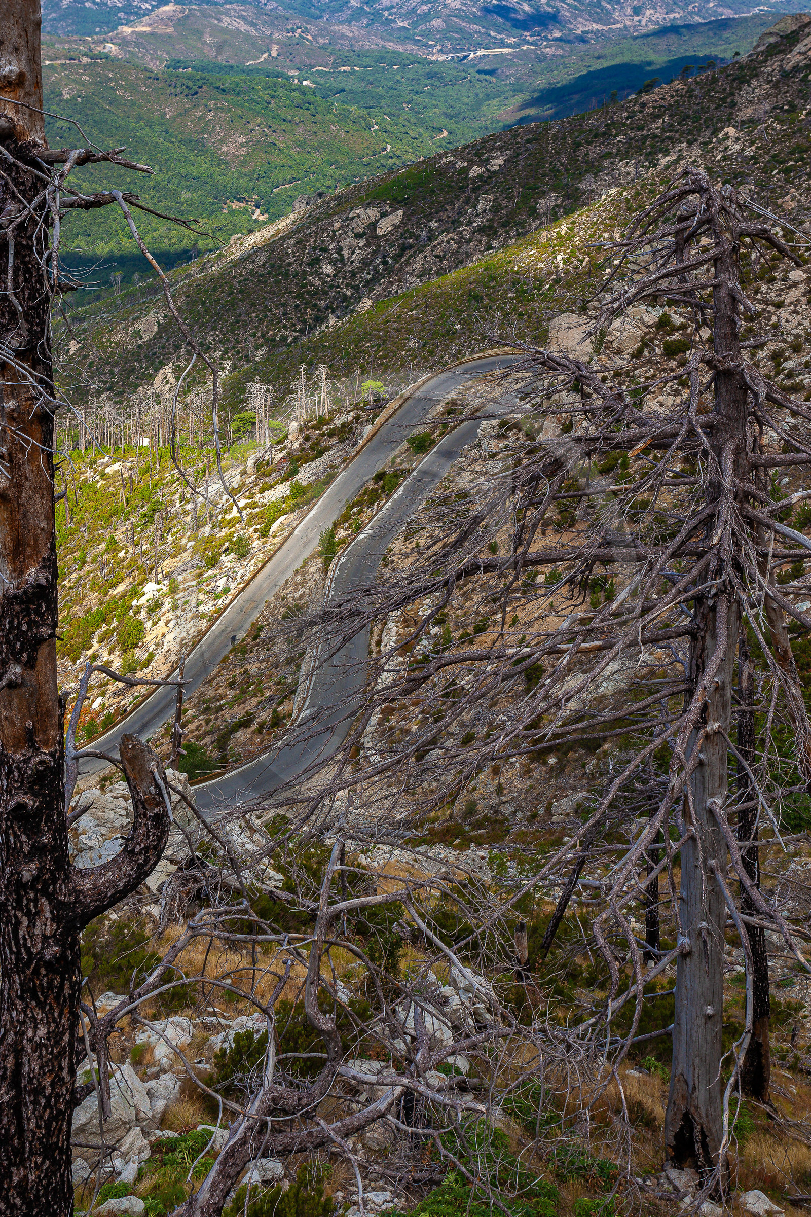 Col de Vergio