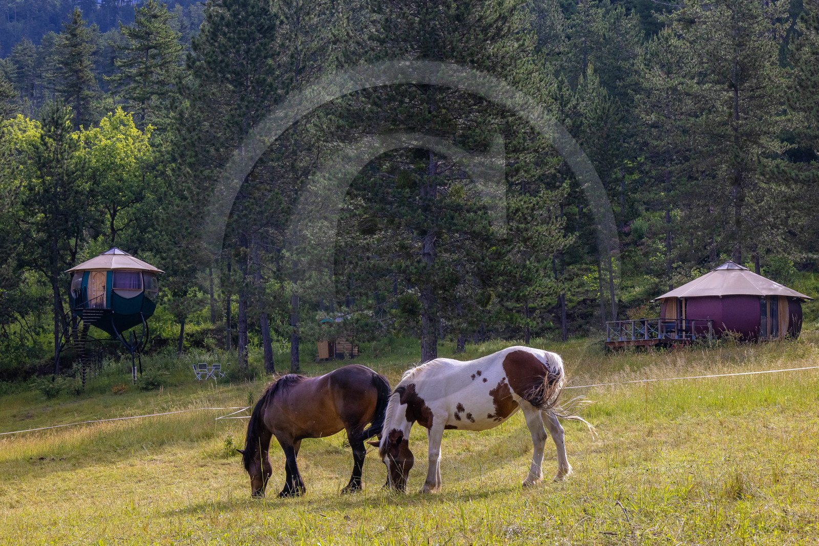 Camping municipal Le Mousserein