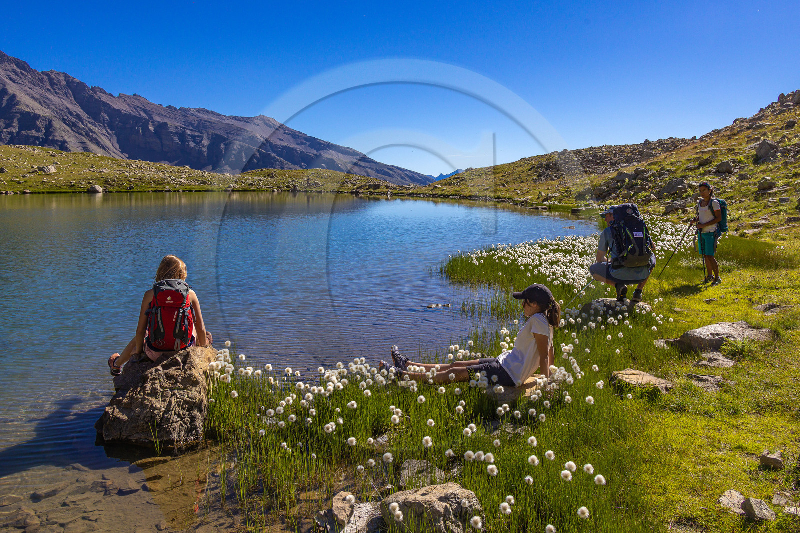 Lac Palluel Lac Palluel