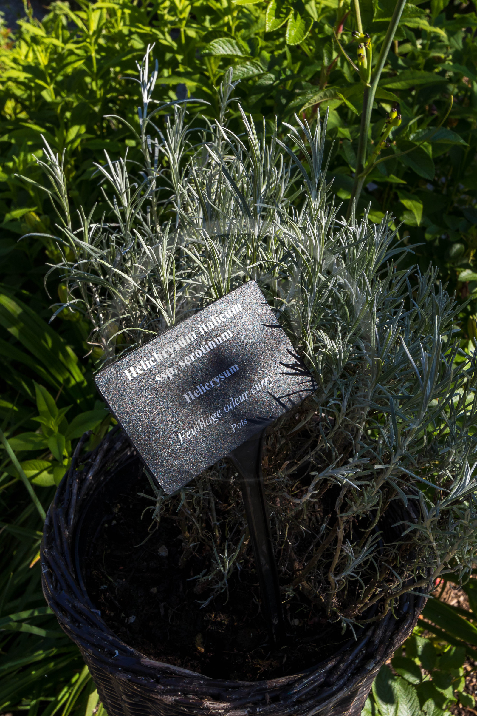 Jardin des Cinq Sens