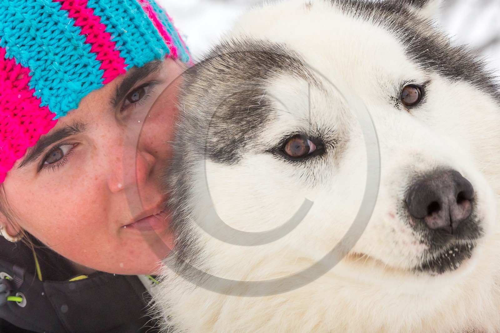 Pays de Serre-Ponçon, Réallon, EdenGaia, chiens de traineau