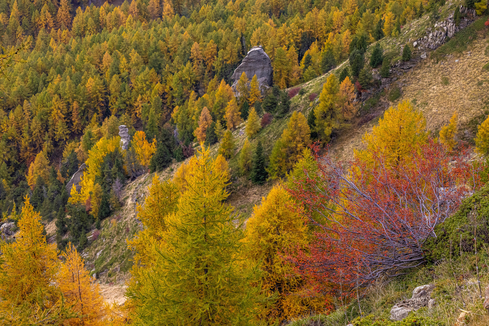 L'automne dans la Vallée du Champsaur