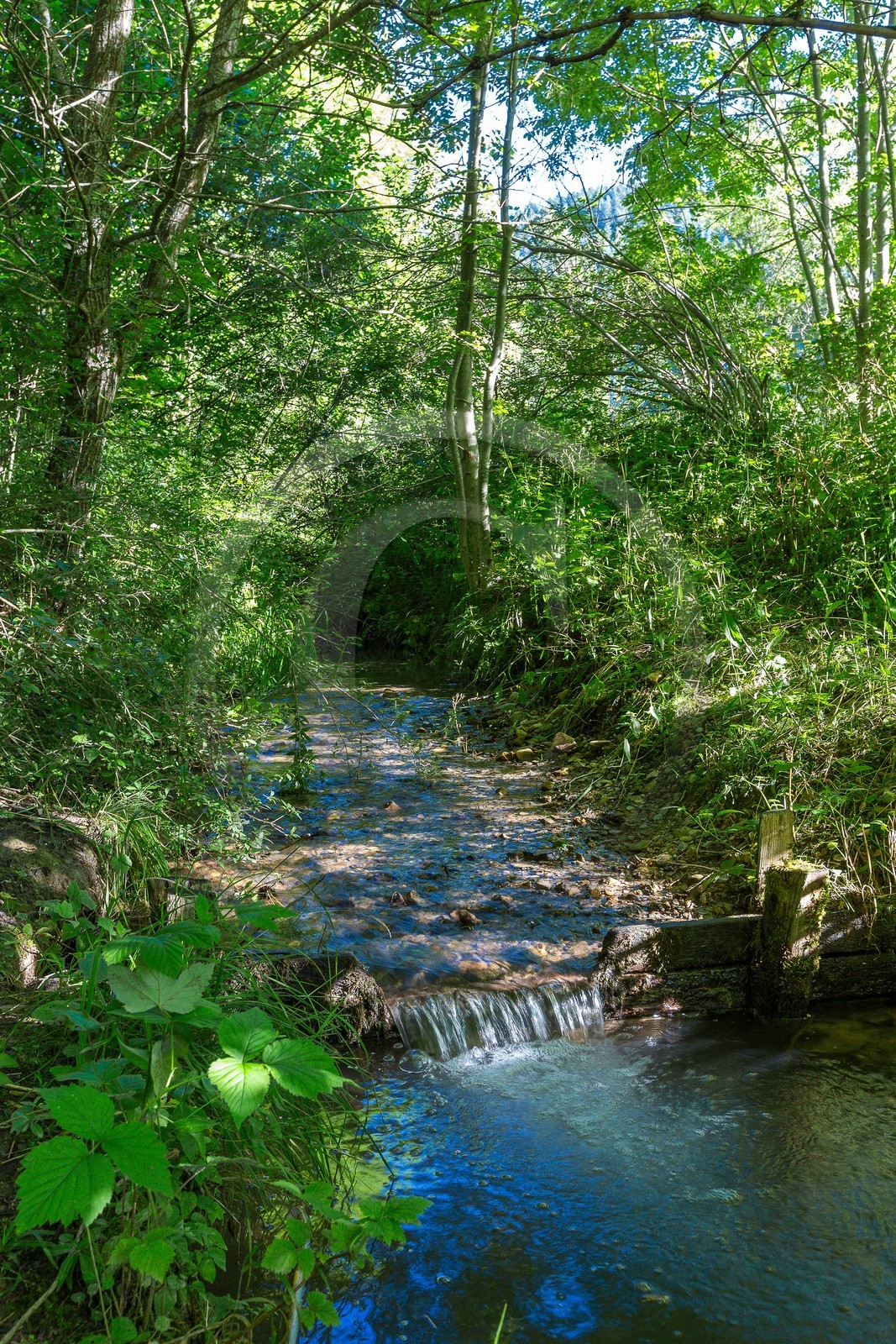 ENS de l'Isère, Marais des Sagnes ENS de l'Isère, Marais des Sagnes