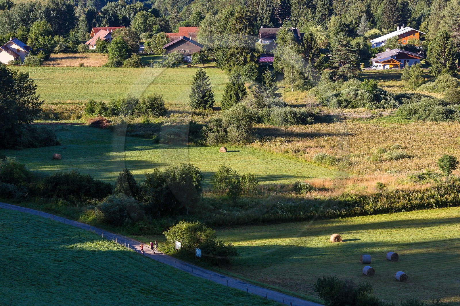 ENS de l'Isère, Marais des Sagnes ENS de l'Isère, Marais des Sagnes