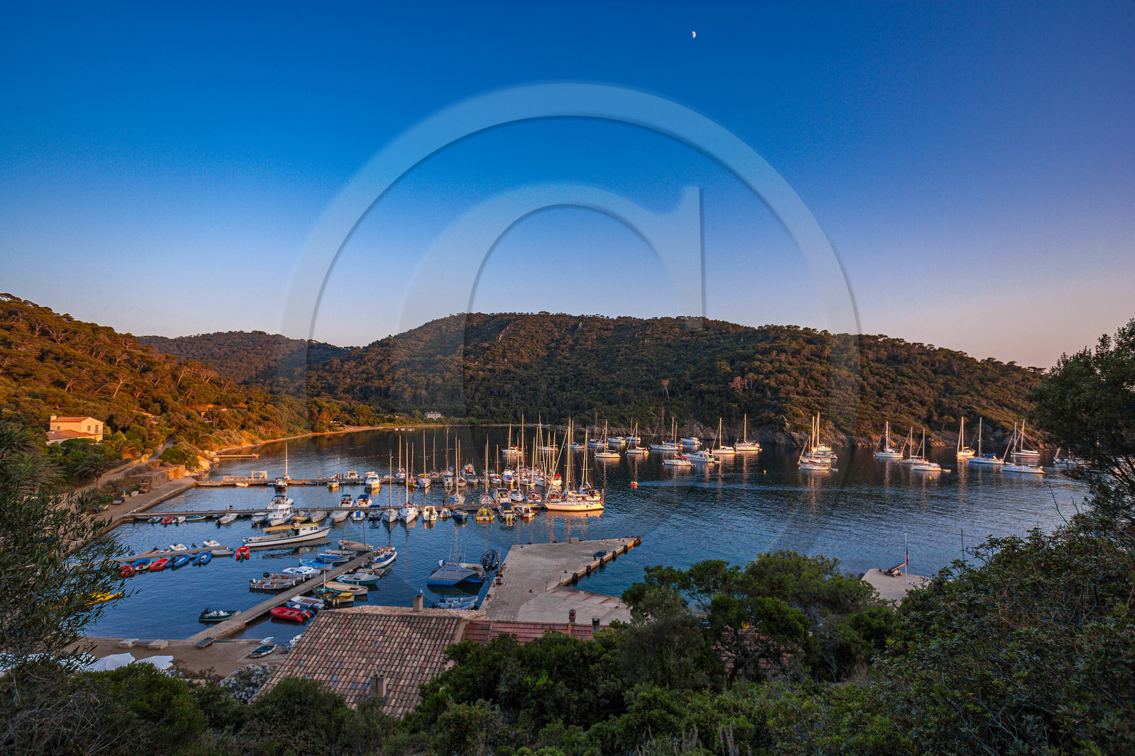 Parc national de Port-Cros Parc national de Port-Cros