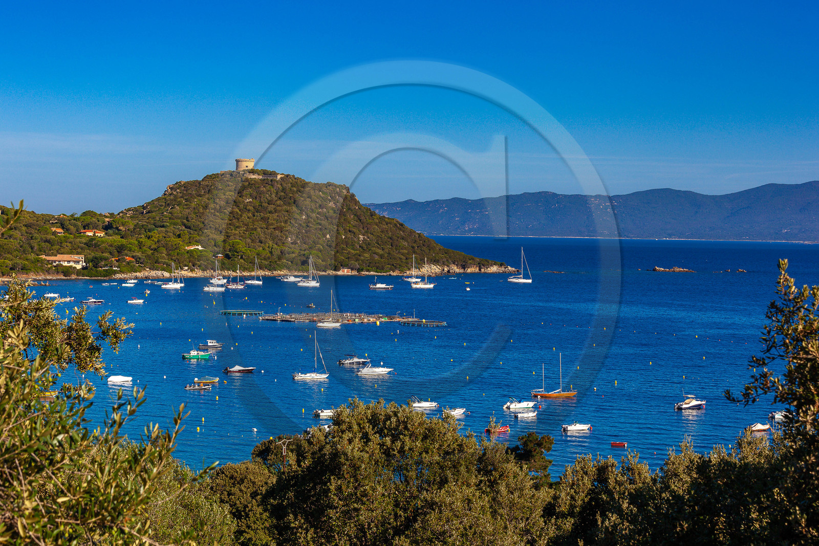 Belvédère-Campomoro, Belvédère-Campomoro,