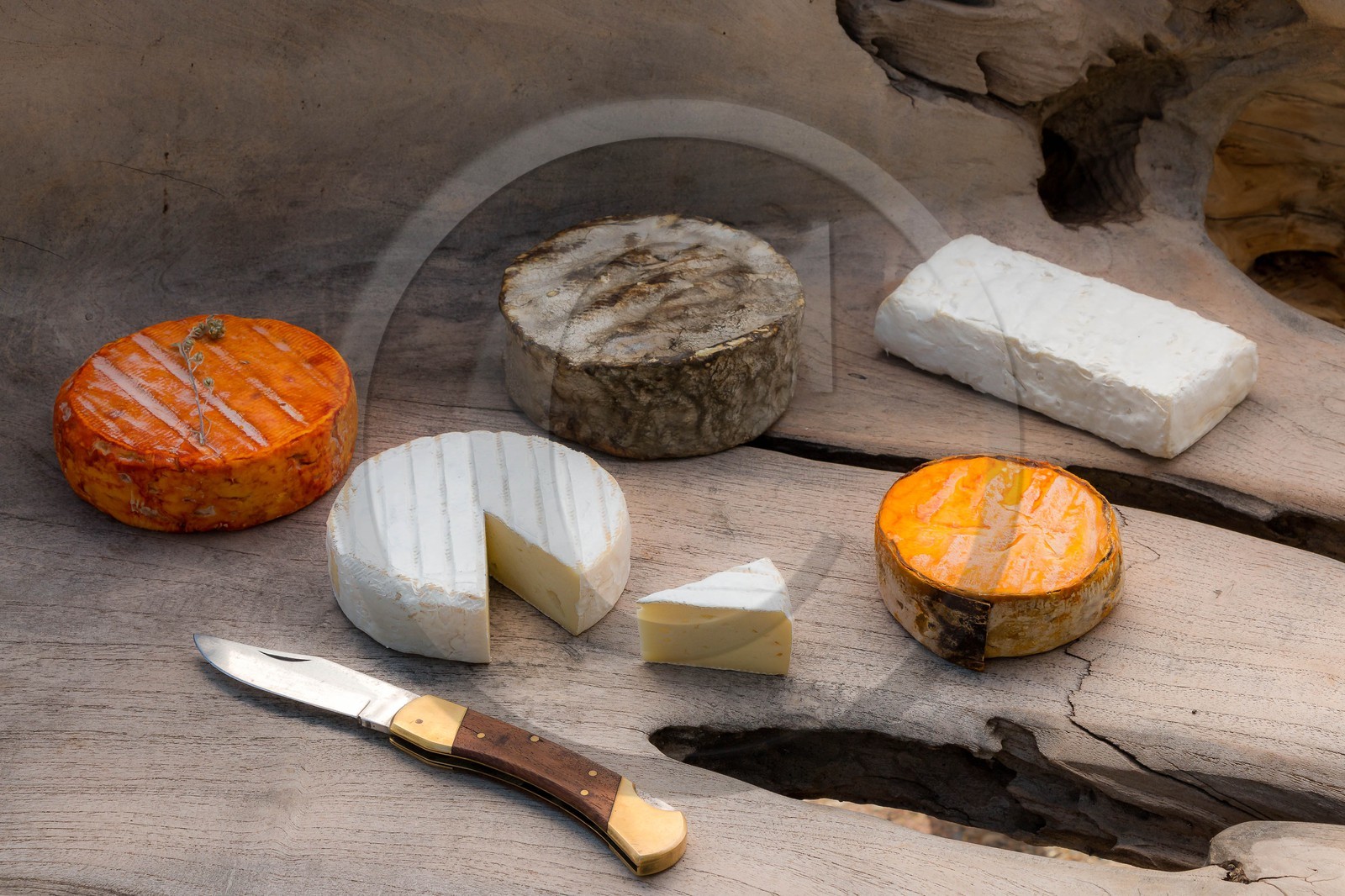 Laiterie et  Fromagerie du Col Bayard, Restaurant de fromage, Franck Bertrand