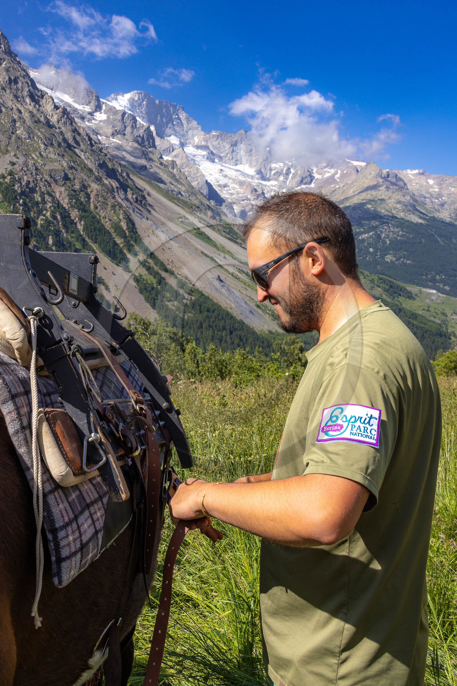 Trek famille avec animaux de bats
