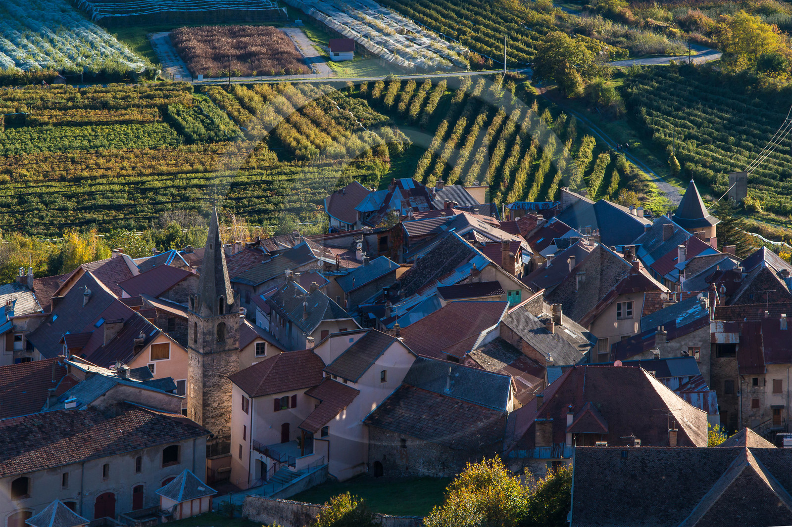 Remollon
