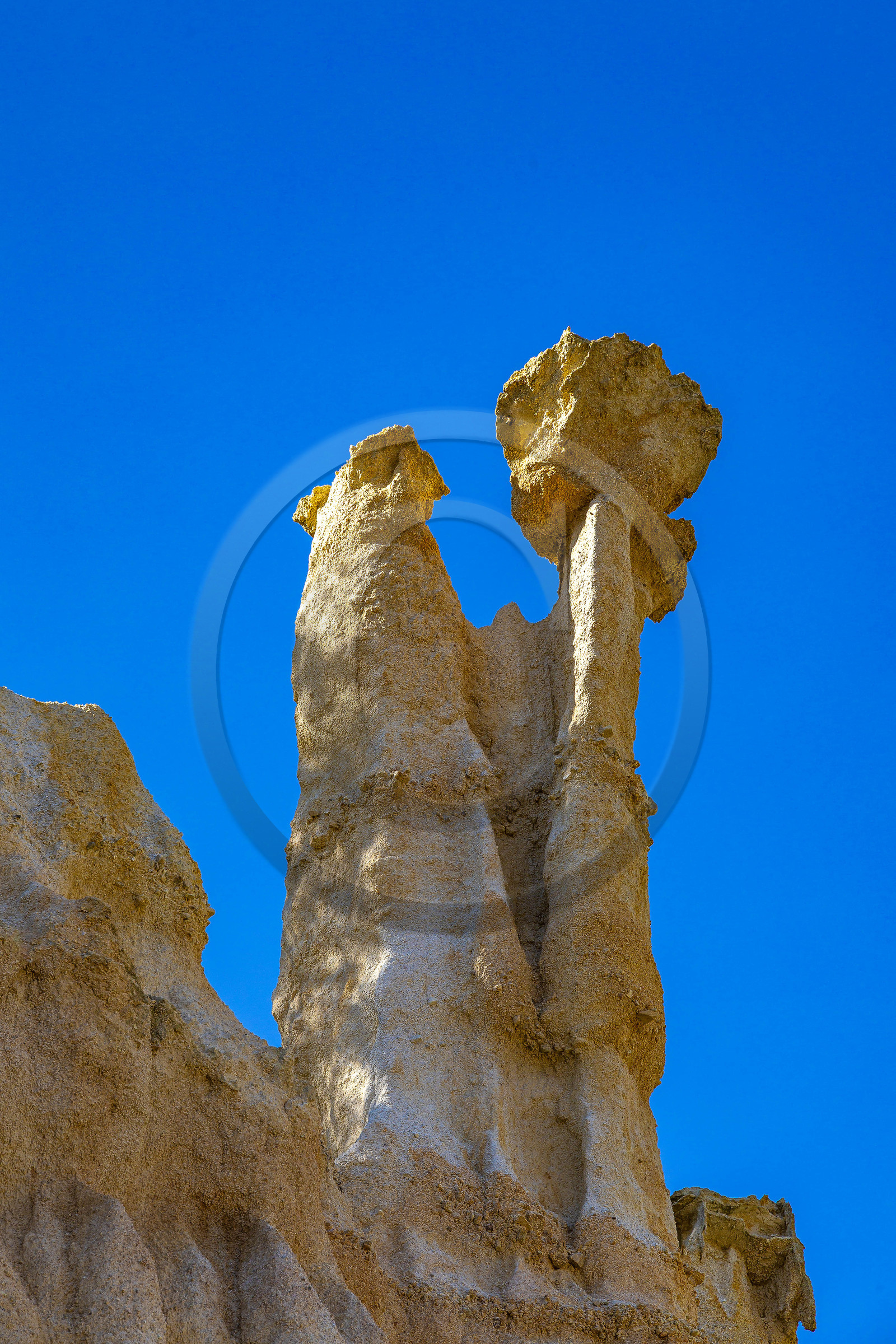 Orgues d'Ille-sur-Têt Orgues d'Ille-sur-Têt