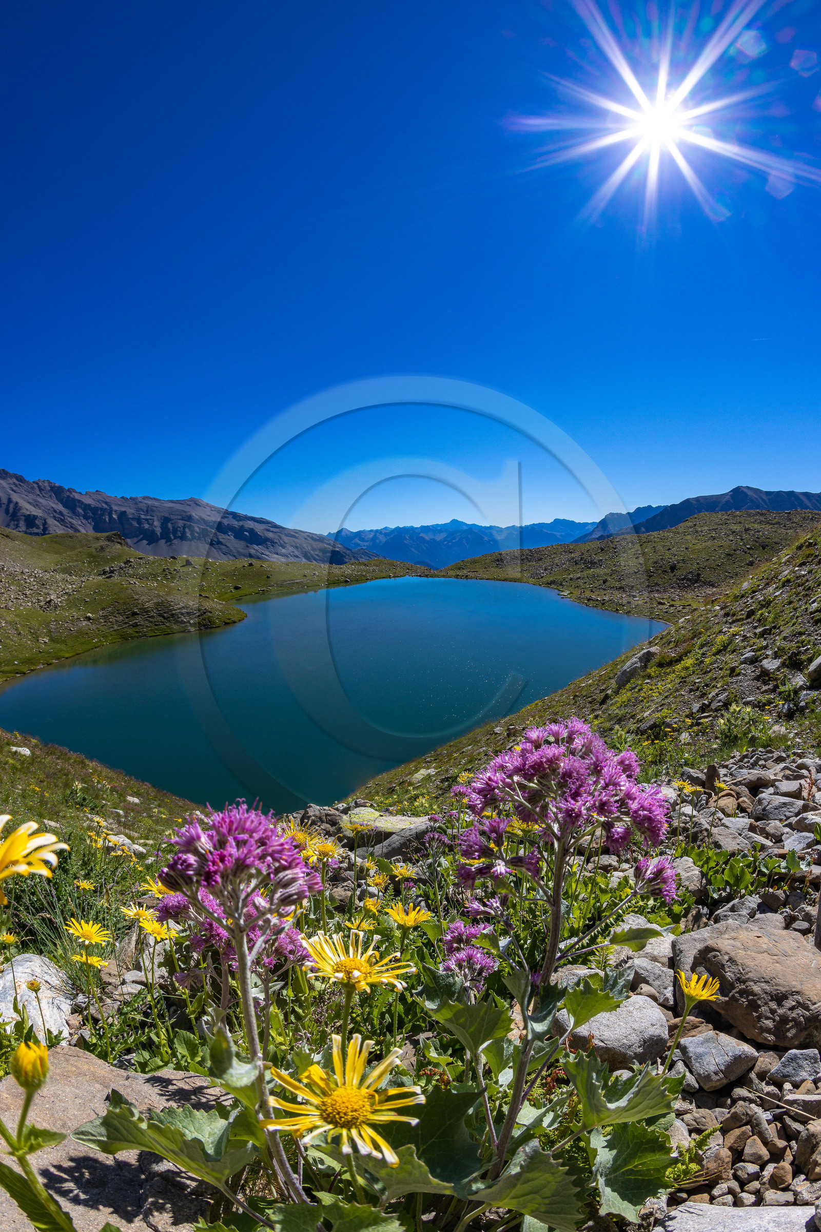 Lac Palluel