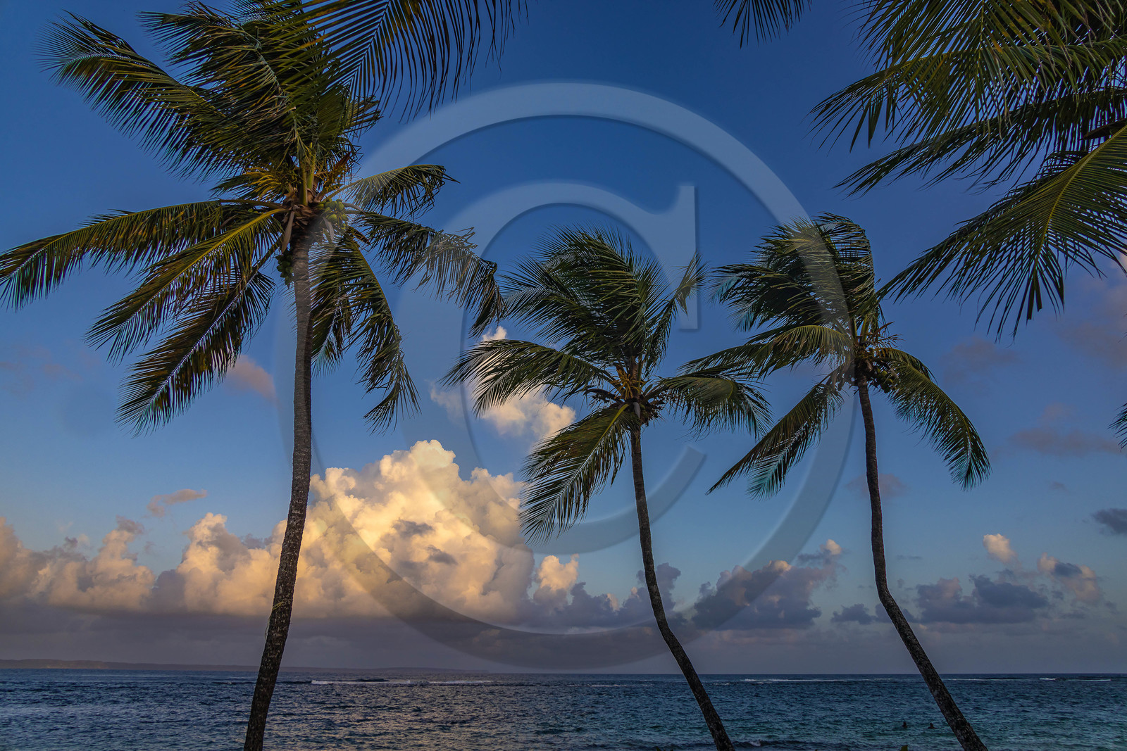 Guadeloupe, Le Moule, plage de L'Autre Bord Guadeloupe, Le Moule, plage de L'Autre Bord