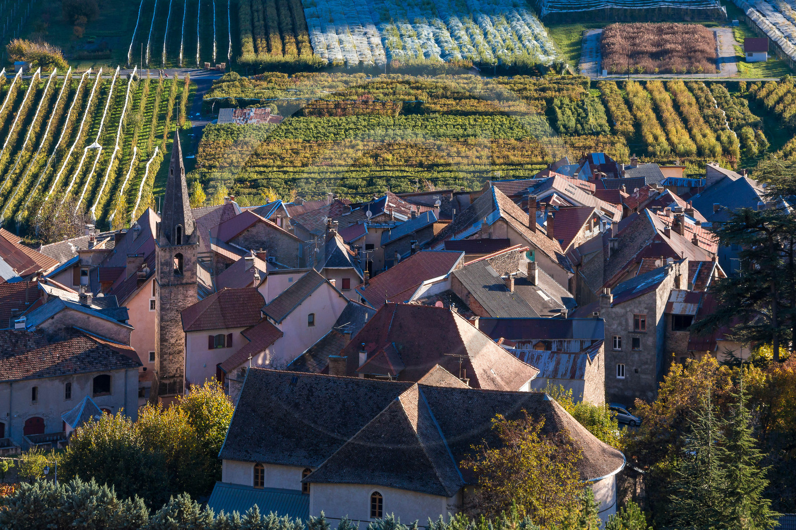 Remollon