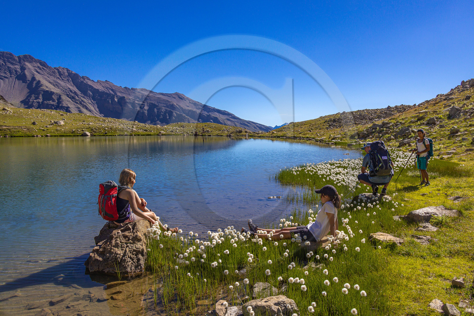 Lac Palluel