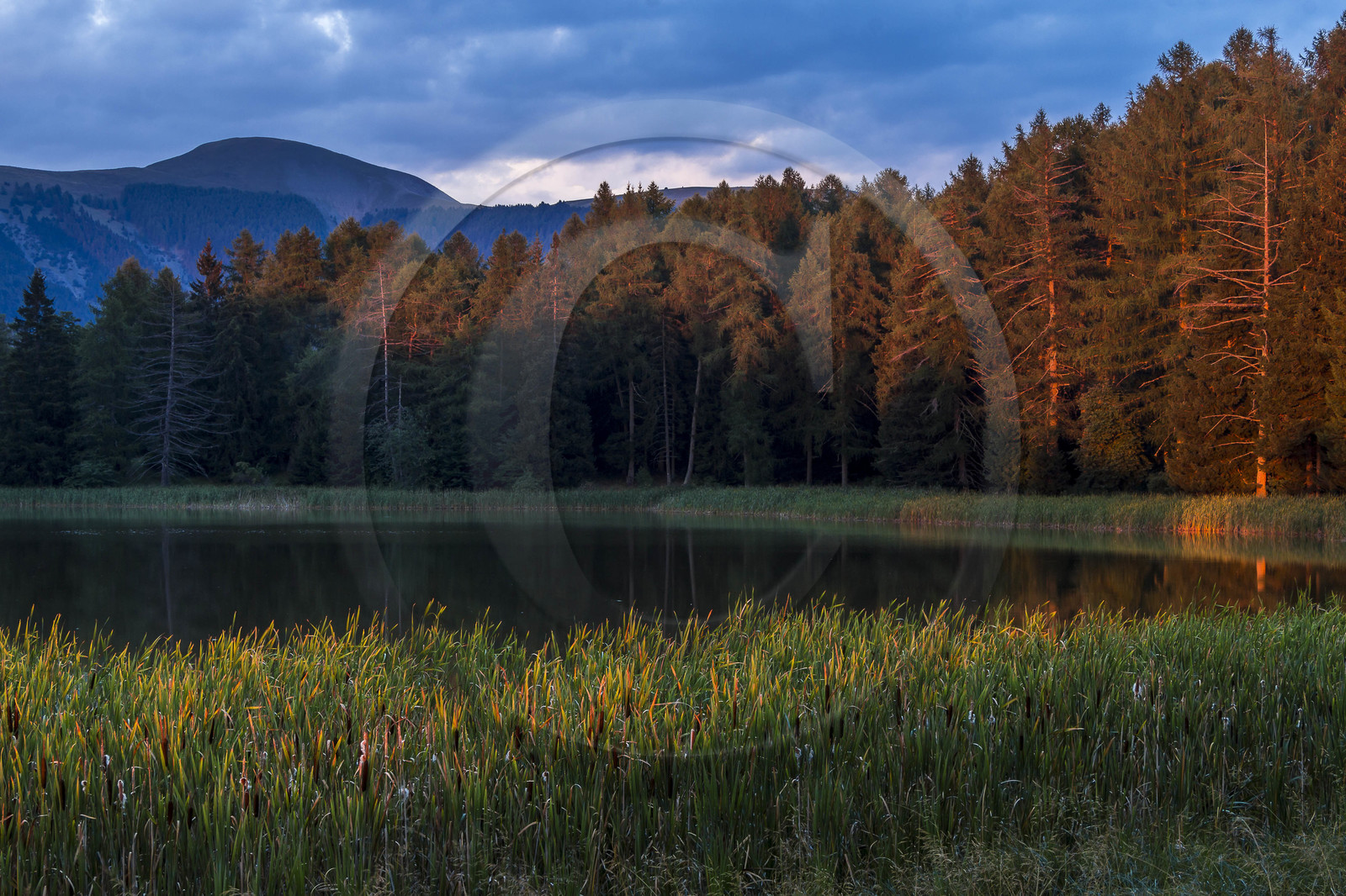 Esparron-La-Bâtie, lac d'Esparron Esparron-La-Bâtie, lac d'Esparron