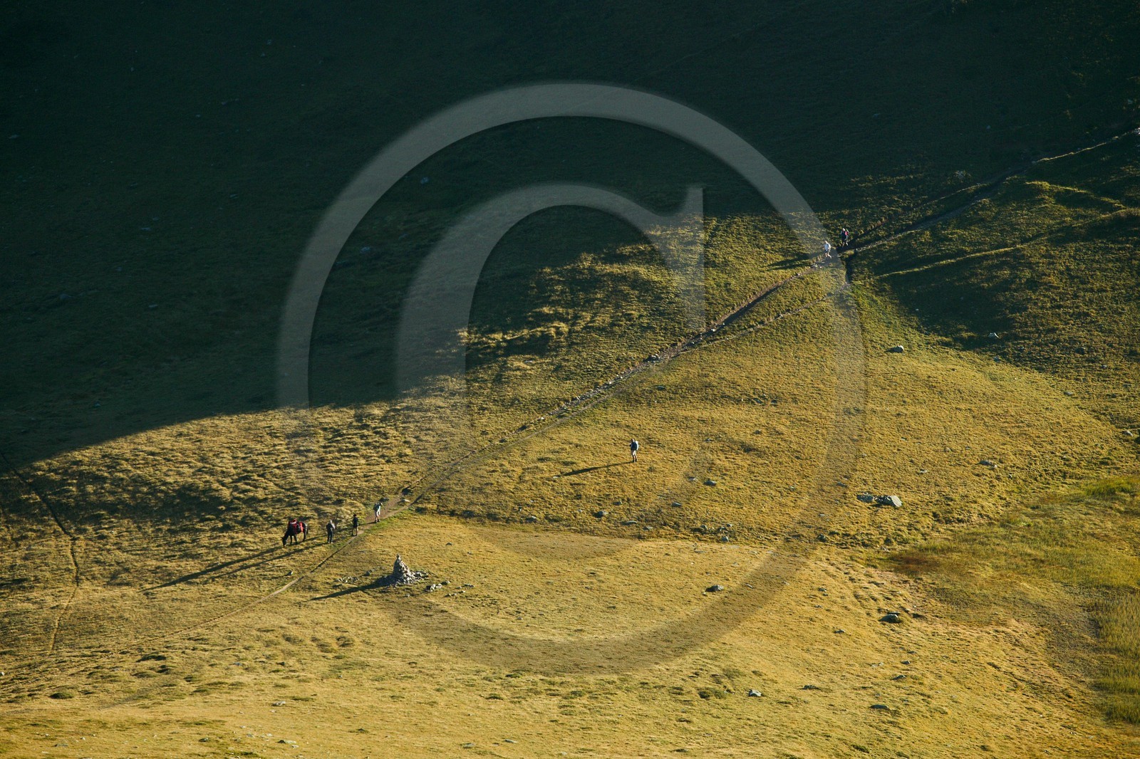Réserve naturelle de Carlaveyron, col de Bellachat, randonnée avec portage par cheval Réserve naturelle de Carlaveyron, col de Bellachat, randonnée avec portage par cheval