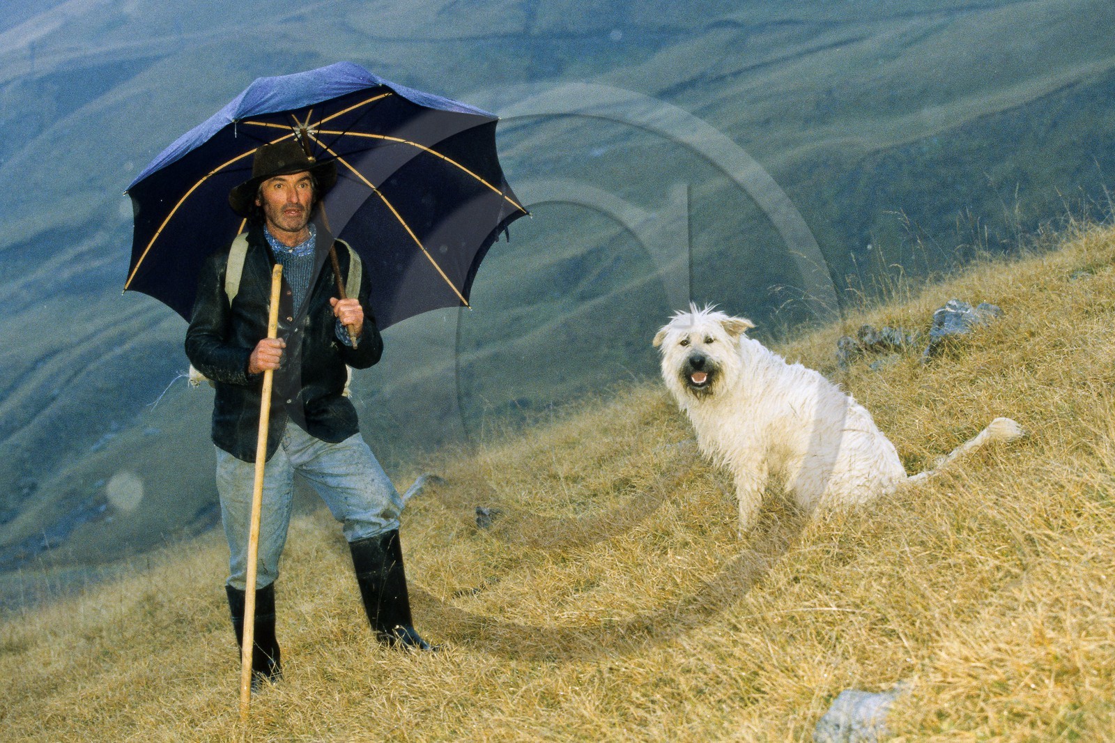 Alpage de Jujal, Le Bailou, berger Alpage de Jujal, Le Bailou, berger