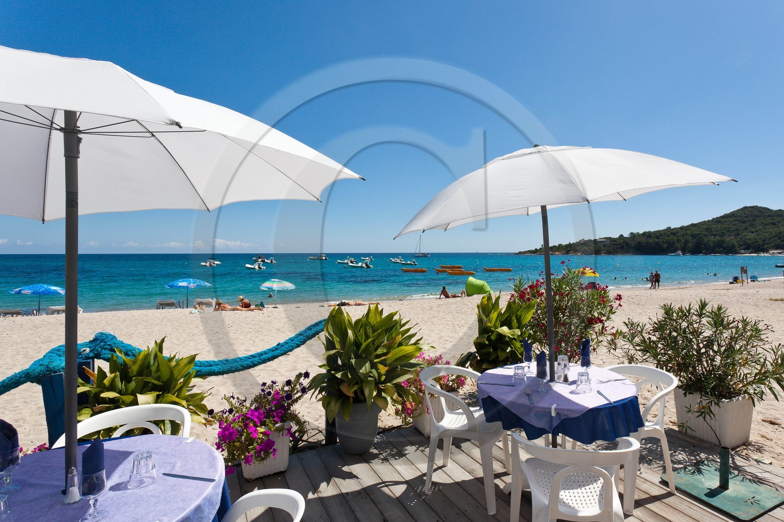 Restaurant Restaurant