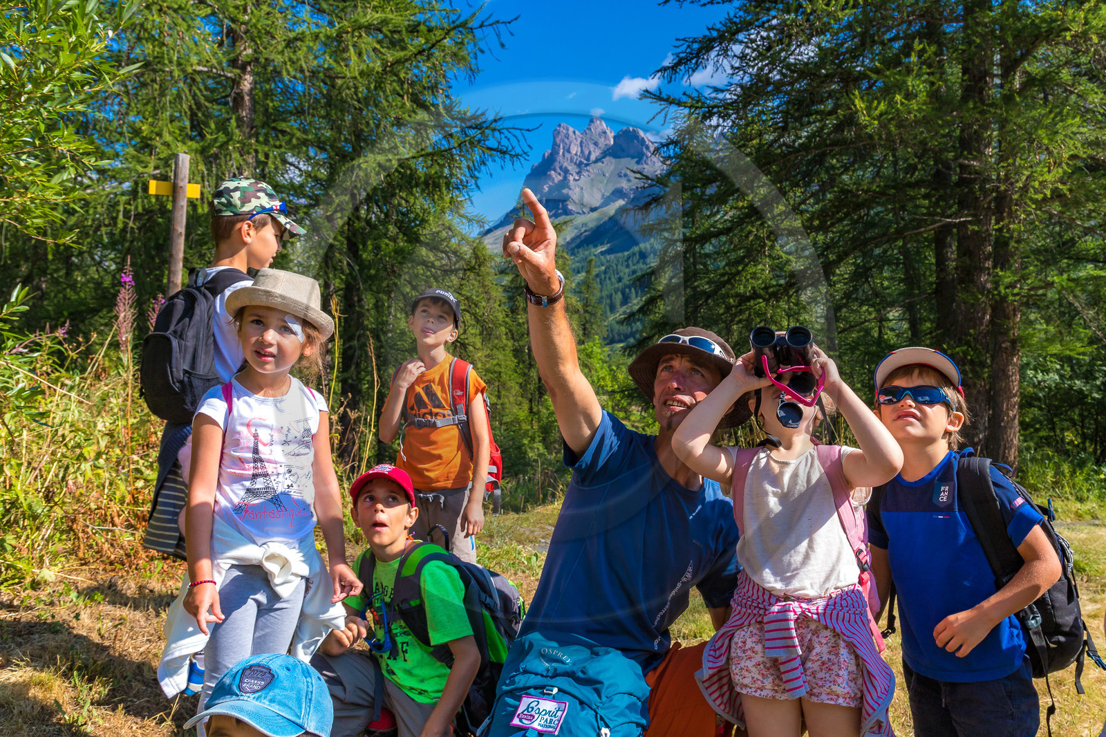 Curieux de nature, sortie découverte avec Cyril Mahout Curieux de nature, sortie découverte avec Cyril Mahout