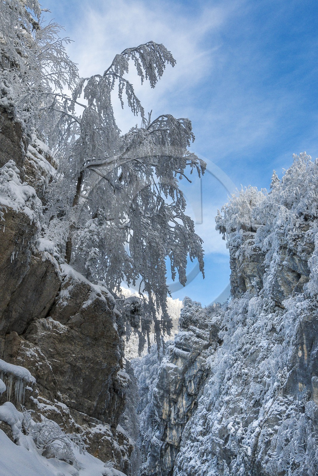 ENS de l'Isère, Les Ecouges ENS de l'Isère, Les Ecouges