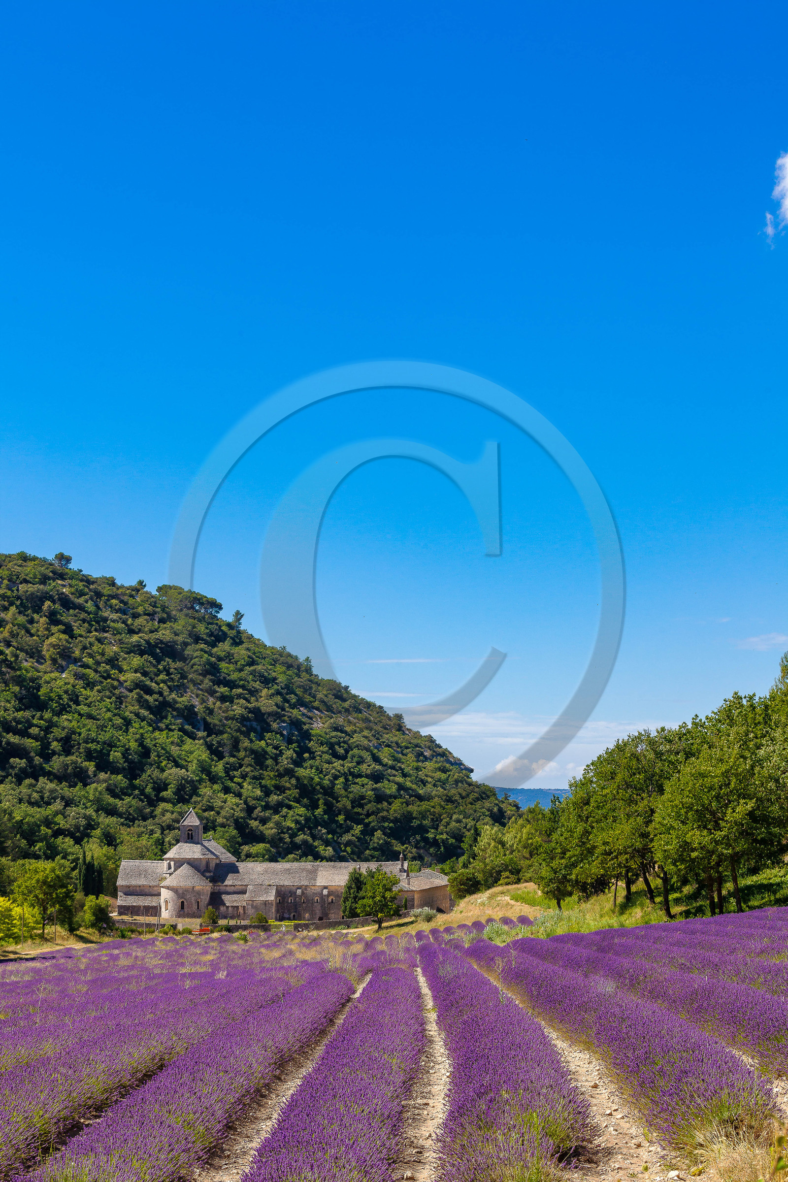 Gordes, Abbaye Notre-Dame de Sénanque Gordes, Abbaye Notre-Dame de Sénanque