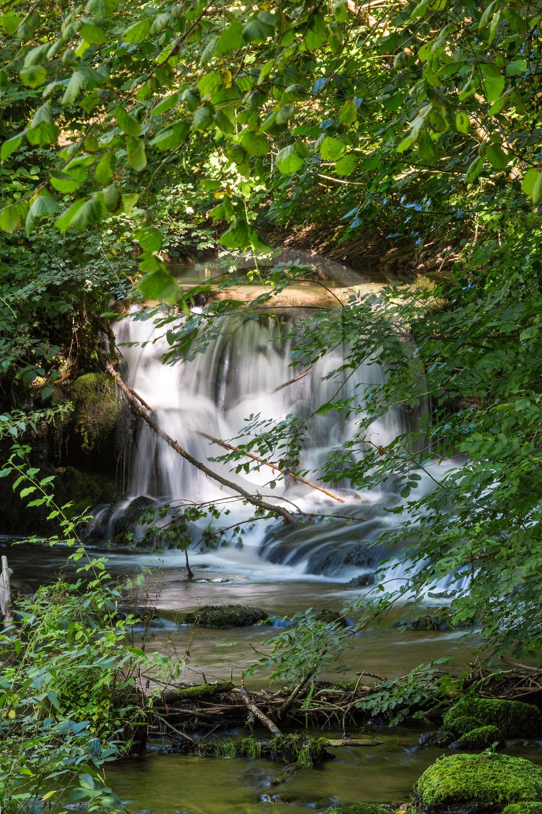 ENS de l'Isère, étang de Cote Manin