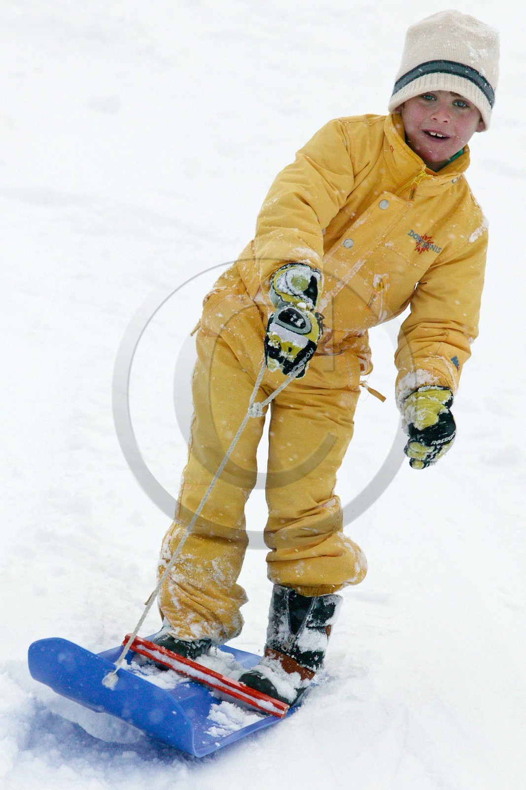 Luge d'hiver