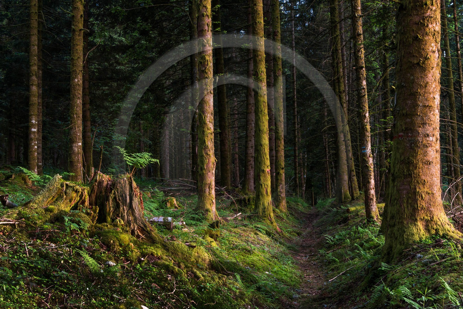 ENS de l'Isère, Marais des Seiglières