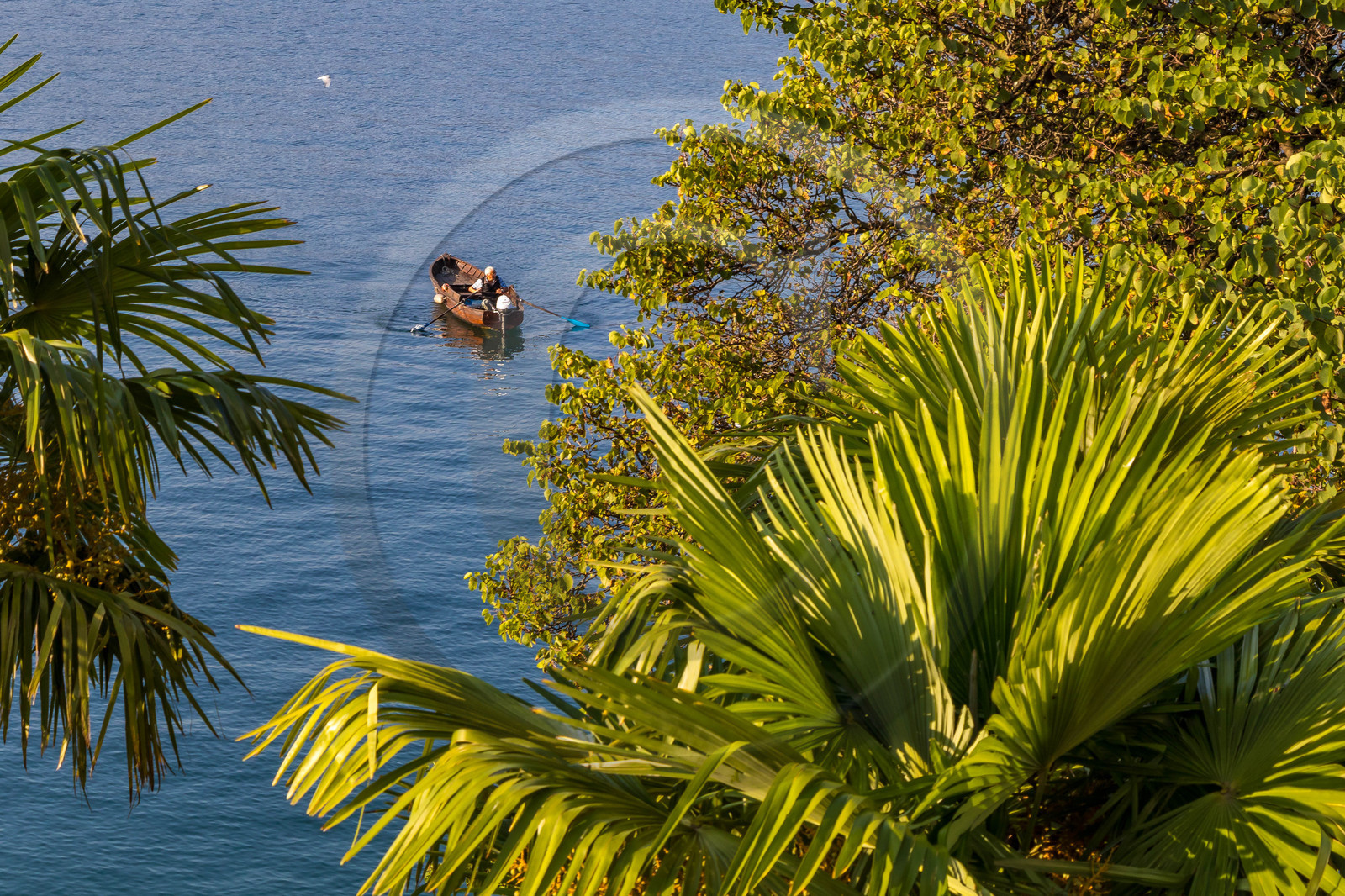 Verbania, pêcheur