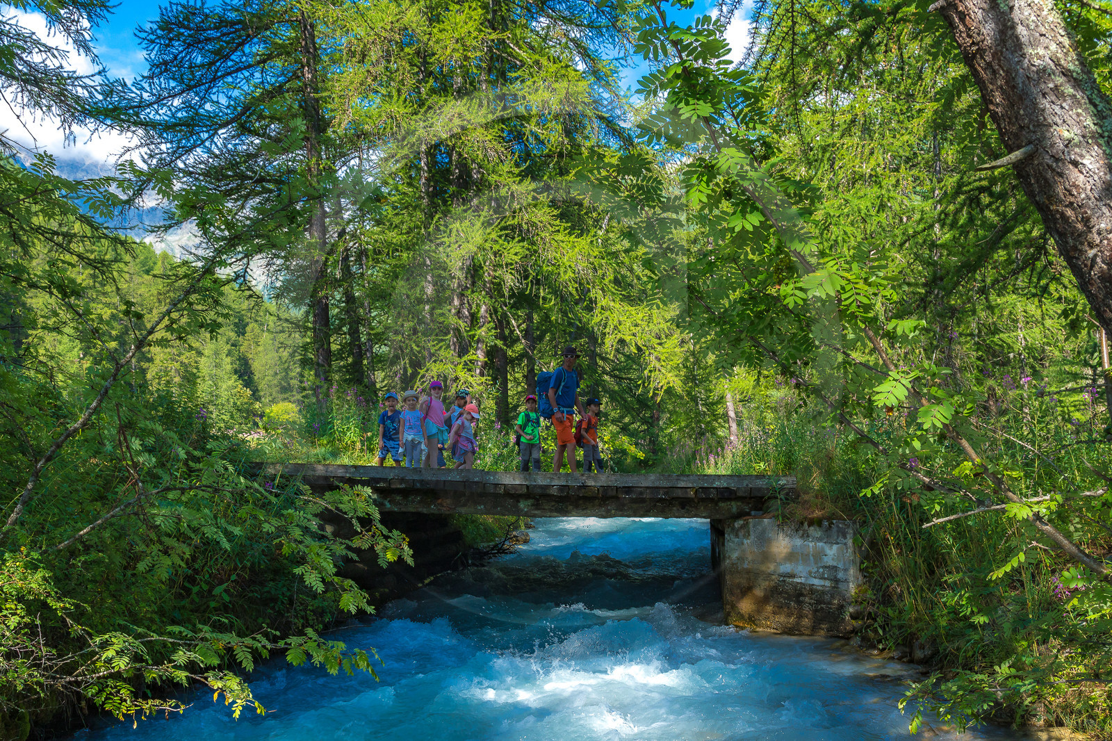 Curieux de nature, sortie découverte avec Cyril Mahout Curieux de nature, sortie découverte avec Cyril Mahout