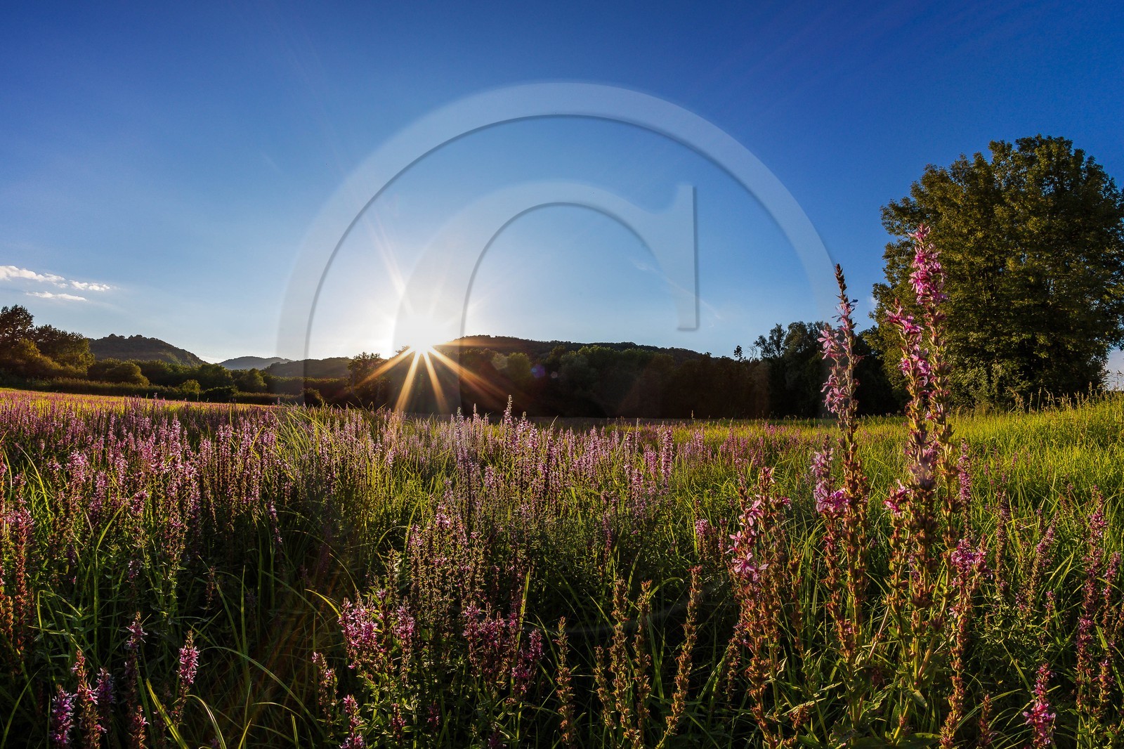 ENS de l'Isère, Boucle des Moïles