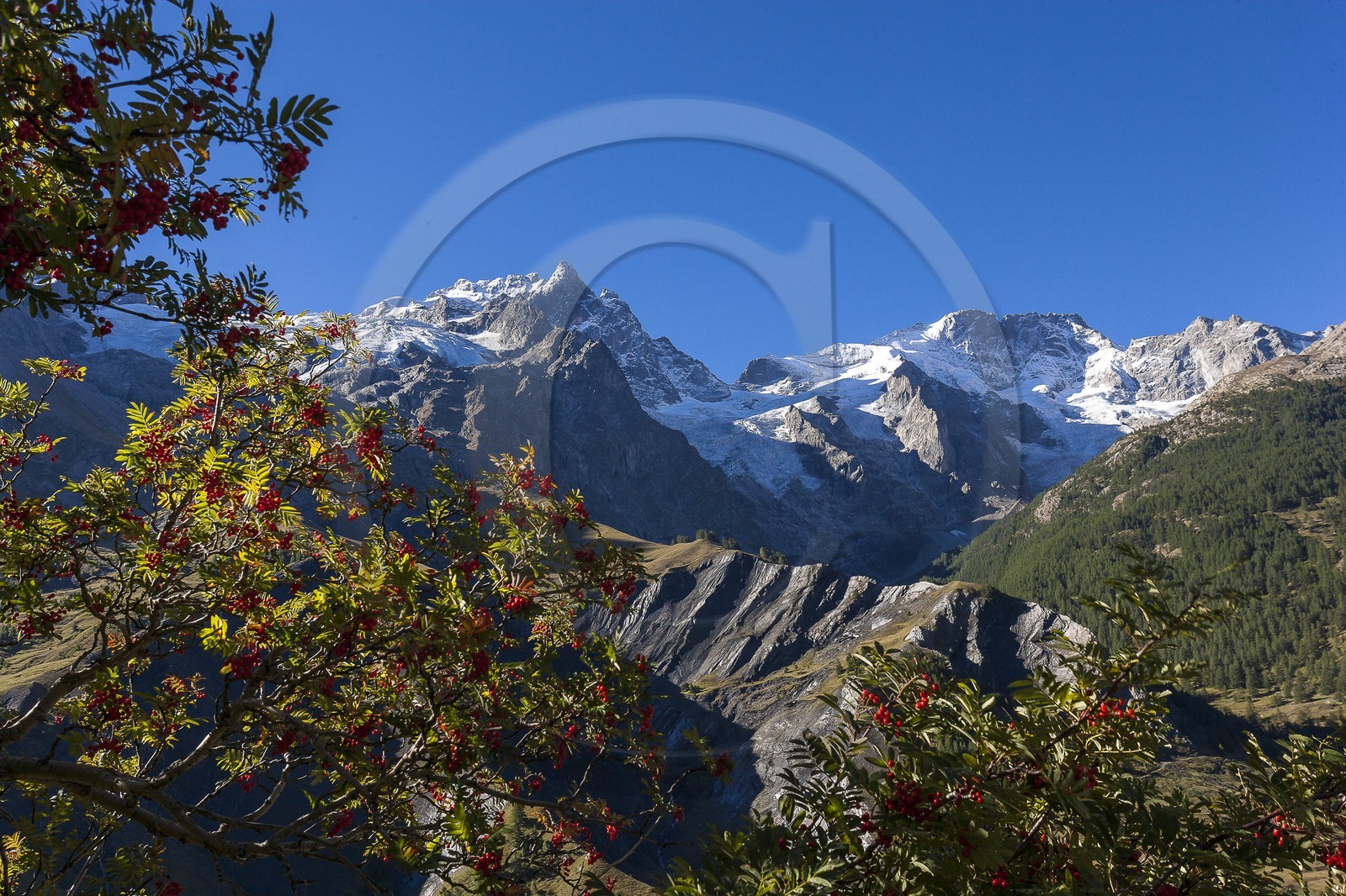 La Meije, La Grave La Meije, La Grave