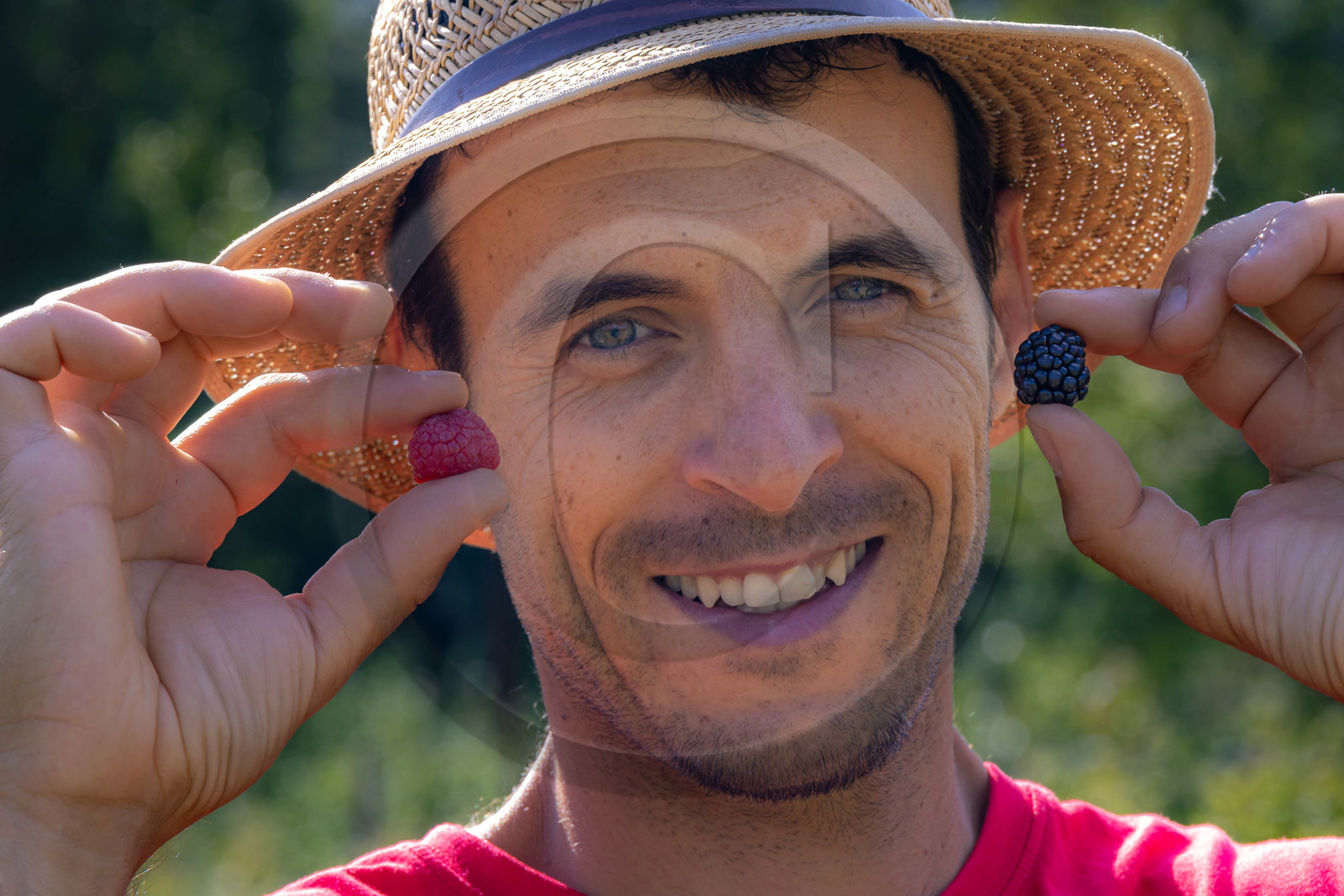 Ecrins de fruits, producteur de fruits rouges